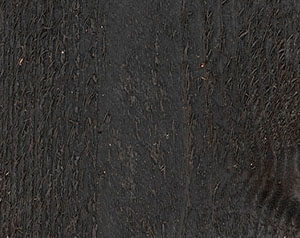 Charcoal Gray Fence Stain