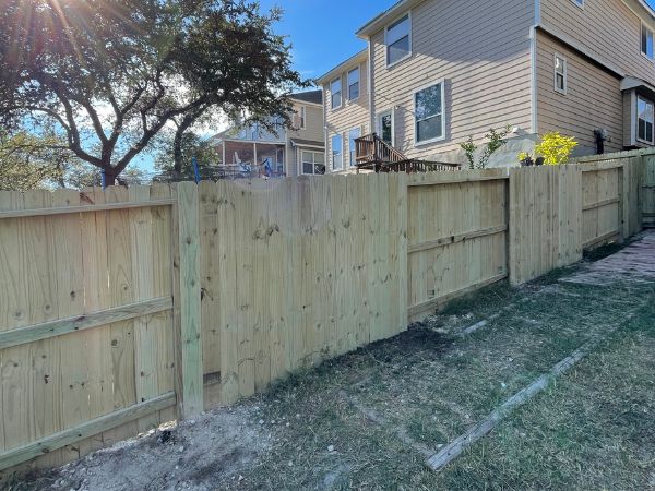 TreatedPinePrivancyFence