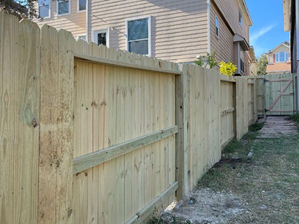 TreatedPinePrivancyFence