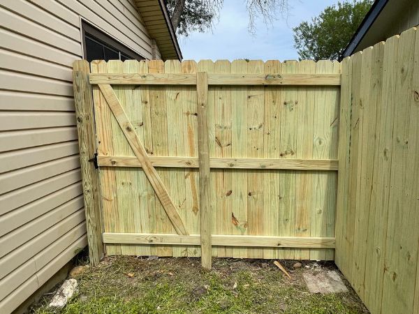 TreatedPinePrivancyFence