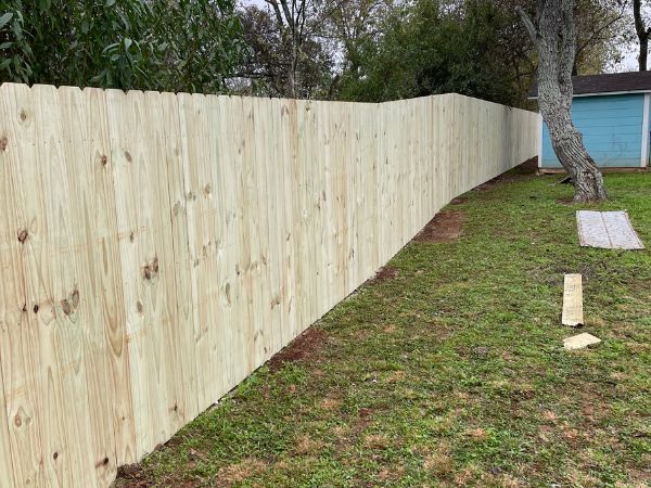 TreatedPinePrivancyFence